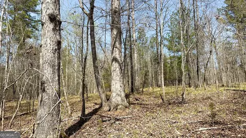 0 Stallings Rd, Haddock, GA 31033 photo 8