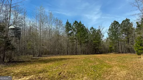 0 Stallings Rd, Haddock, GA 31033 photo 18