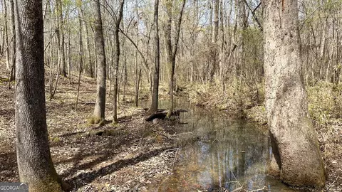 0 Stallings Rd, Haddock, GA 31033 photo 21