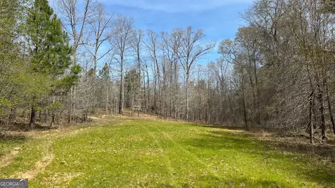 0 Stallings Rd, Haddock, GA 31033 photo 5
