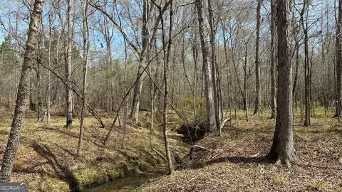 0 Stallings Rd, Haddock, GA 31033 photo 29