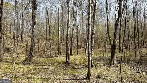 0 Stallings Rd, Haddock, GA 31033 photo 26