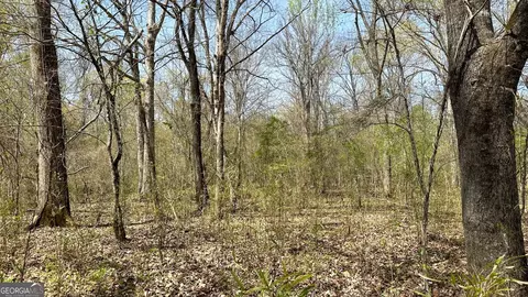 0 Stallings Rd, Haddock, GA 31033 photo 25