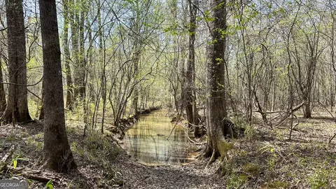 0 Stallings Rd, Haddock, GA 31033 photo 12