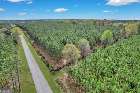 0 Oquinn Loop, Odum, GA 31555 photo 8