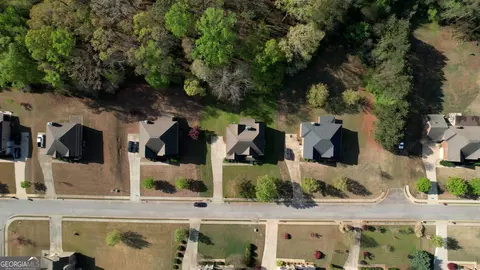 View/Area - 117 Berkeley Way, Hampton, GA 30228 photo 5 of 5