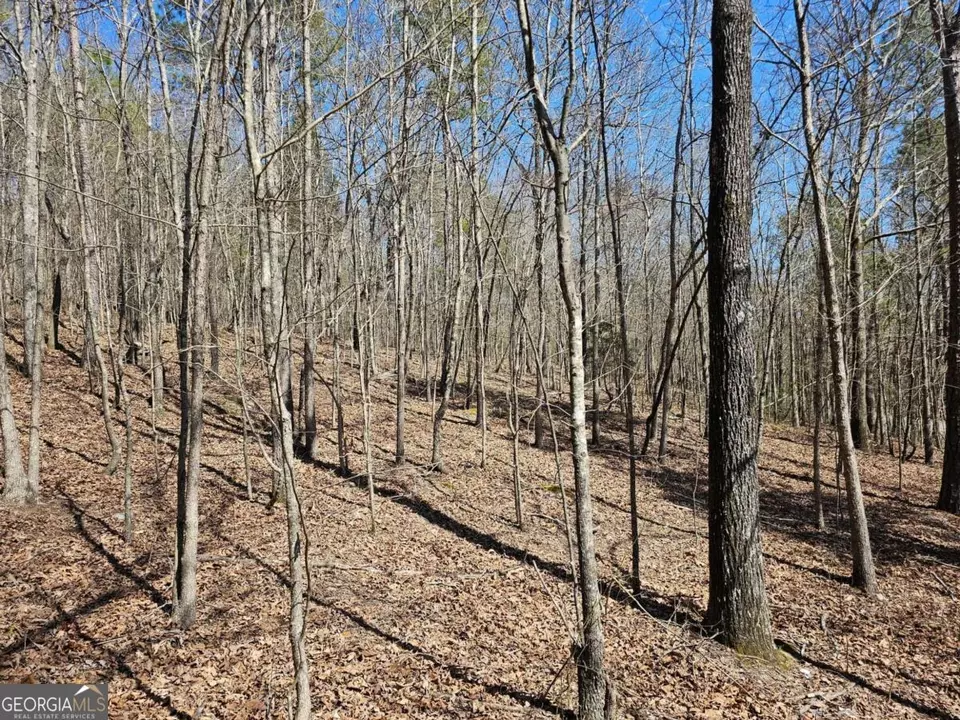  0 Prior Station Rd #TRACT 4, Cedartown, GA 30125 photo 5