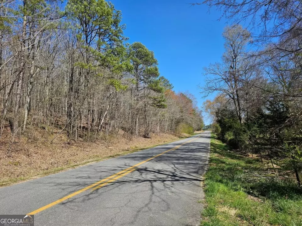  0 Prior Station Rd #TRACT 4, Cedartown, GA 30125 photo 4