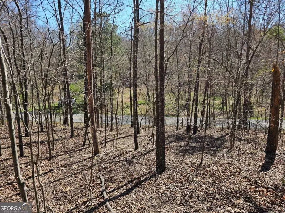  0 Prior Station Rd #TRACT 4, Cedartown, GA 30125 photo 6