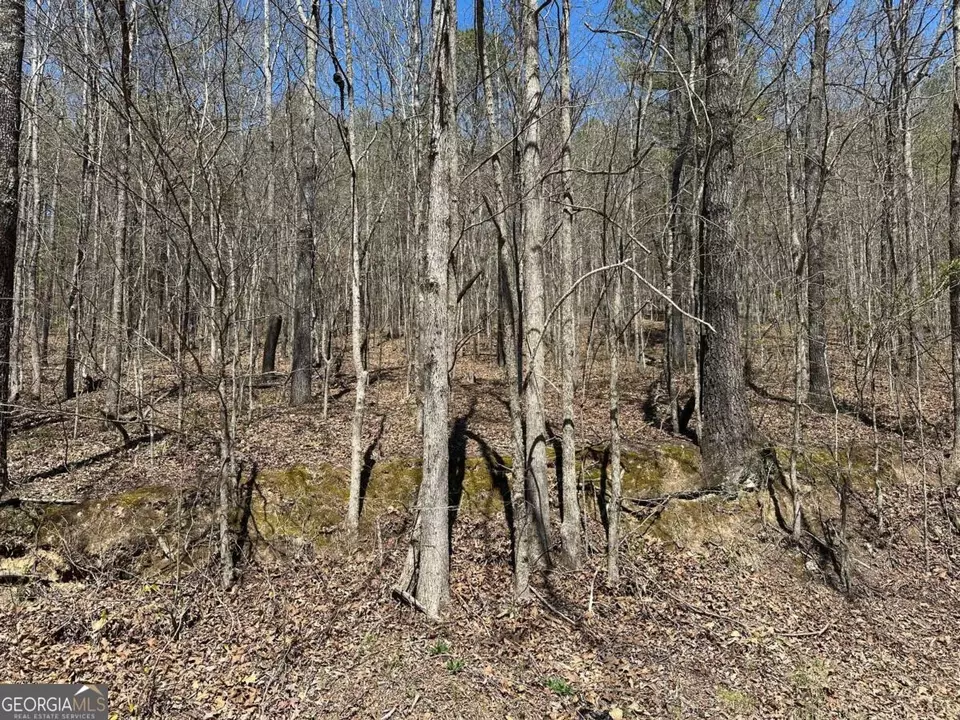  0 Prior Station Rd #TRACT 4, Cedartown, GA 30125 photo 9