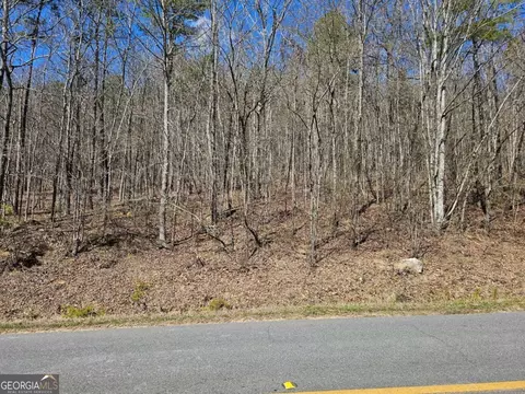 0 Prior Station Rd #TRACT 4, Cedartown, GA 30125