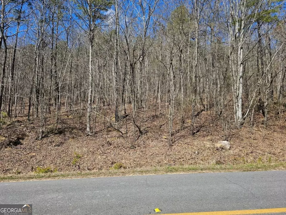  0 Prior Station Rd #TRACT 4, Cedartown, GA 30125 photo 1