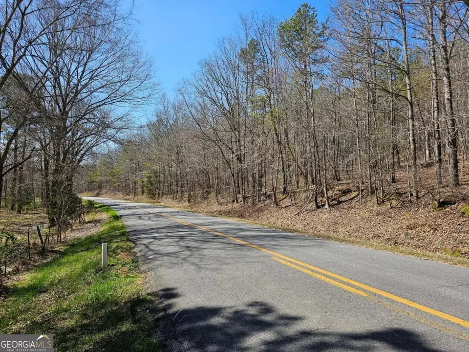  0 Prior Station Rd #TRACT 4, Cedartown, GA 30125 photo 3