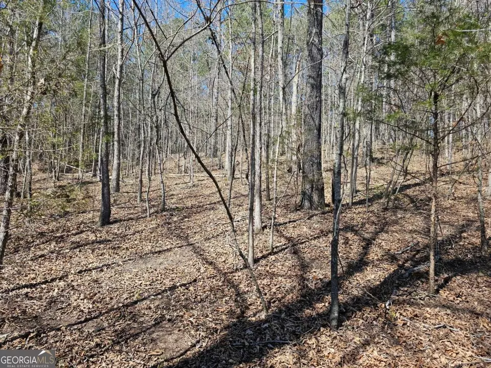  0 Prior Station Rd #TRACT 4, Cedartown, GA 30125 photo 7