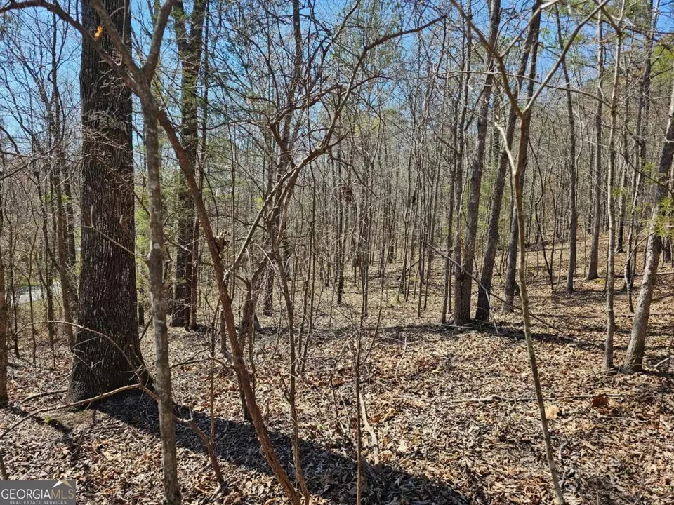  0 Prior Station Rd #TRACT 4, Cedartown, GA 30125 photo 8