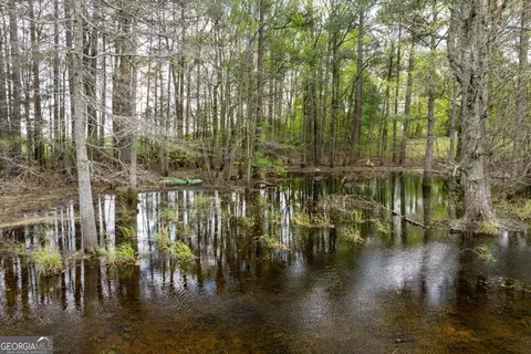 190 Ccc Rd, Kingston, GA 30145 photo 50