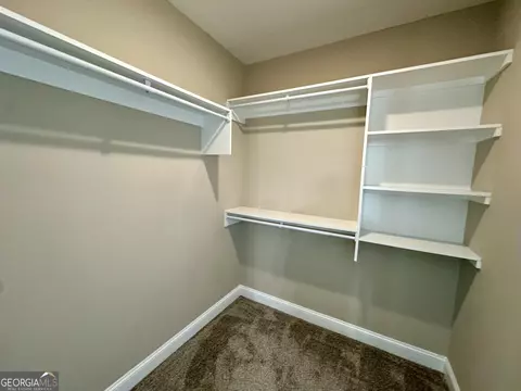 Other - 104 Bluff Oak Dr, Brooklet, GA 30415 photo 10 of 11