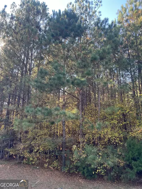 508 River Forest Dr, Forsyth, GA 31029 photo 3