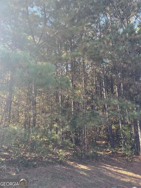 508 River Forest Dr, Forsyth, GA 31029 photo 4