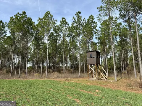 2211 Lower Shellman Rd, Cuthbert, GA 39840