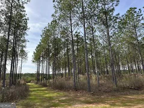 2211 Lower Shellman Rd, Cuthbert, GA 39840 photo 16
