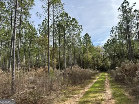 2211 Lower Shellman Rd, Cuthbert, GA 39840 photo 18