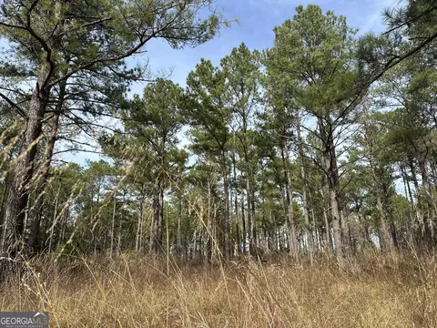 2211 Lower Shellman Rd, Cuthbert, GA 39840 photo 27