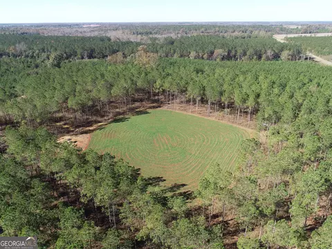 2211 Lower Shellman Rd, Cuthbert, GA 39840 photo 32