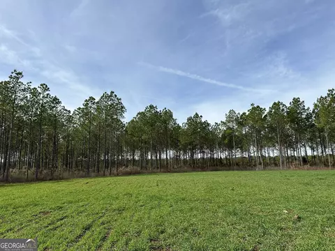 2211 Lower Shellman Rd, Cuthbert, GA 39840 photo 15