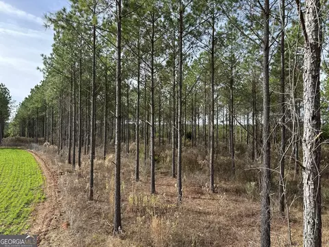 2211 Lower Shellman Rd, Cuthbert, GA 39840 photo 3