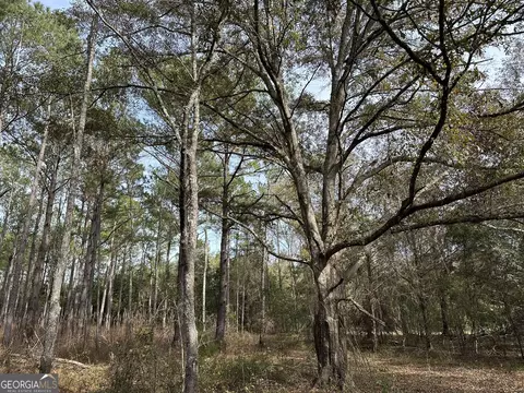 2211 Lower Shellman Rd, Cuthbert, GA 39840 photo 24