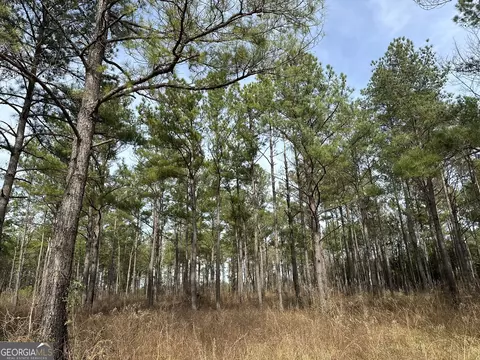 2211 Lower Shellman Rd, Cuthbert, GA 39840 photo 23