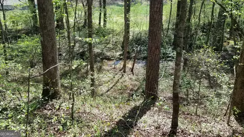 1005 Deer Path Ln, Clarkesville, GA 30523 photo 28
