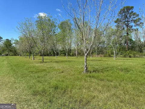0 Sr 169, Glennville, GA 30427