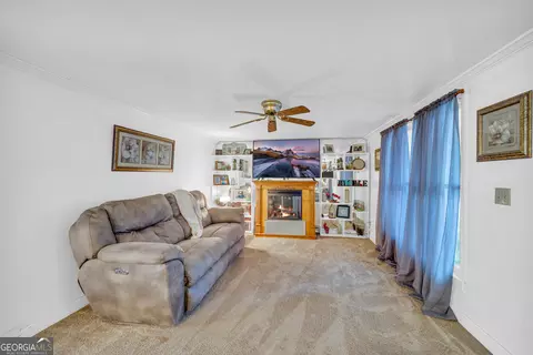 1437 Atkinson Bridge Rd, Carnesville, GA 30521 photo 9