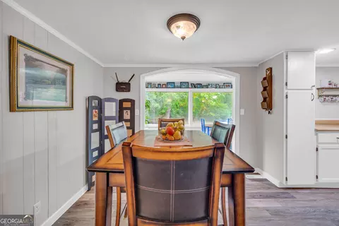 1437 Atkinson Bridge Rd, Carnesville, GA 30521 photo 14