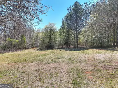 0 Wall Rd, Monroe, GA 30656 photo 11