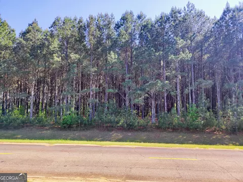 0 Northern County Line Rd, Unadilla, GA 31091