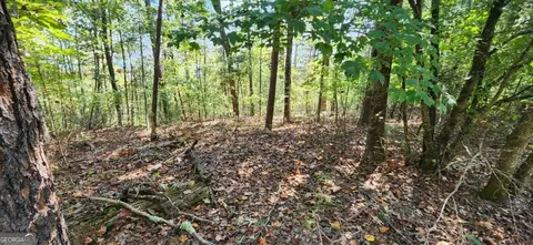 lot1699 Shade Tree Dr, Talking Rock, GA 30175