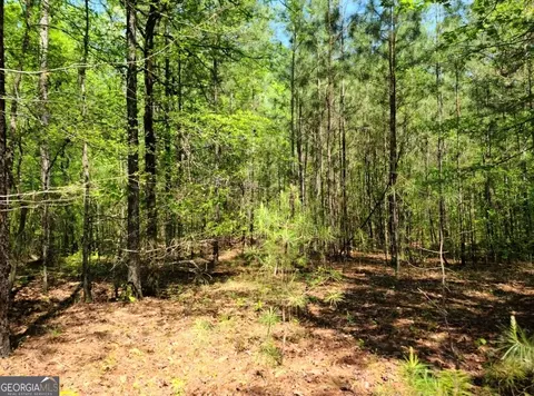 0 Sutton Rd, Forsyth, GA 31029 photo 2