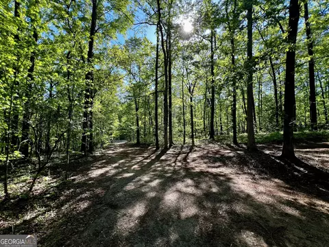 119 Gordon Dr, Gray, GA 31032 photo 43