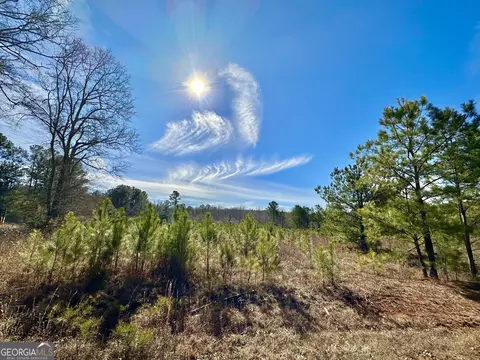0 Douglas Creek Rd, Flovilla, GA 30216