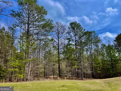 102 Forest Pointe Dr, Forsyth, GA 31029 photo 5