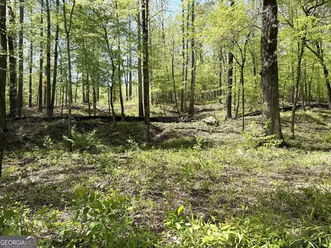 102 Forest Pointe Dr, Forsyth, GA 31029 photo 7