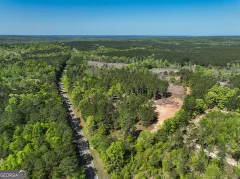 0 Long Branch Rd, Toomsboro, GA 31090