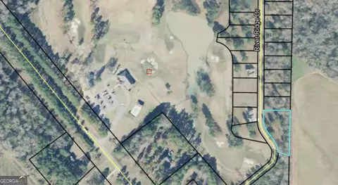 Vacant Lots River Ridge Drive, Hawkinsville, GA 31036