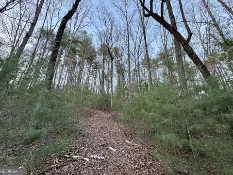 Lts 5, Ellijay, GA 30540