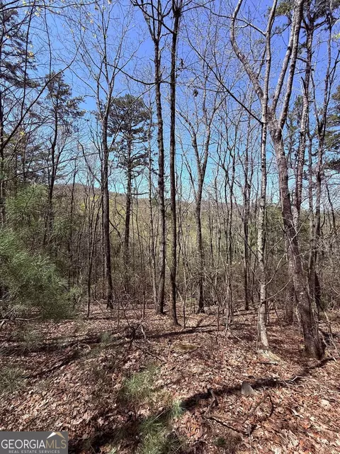 lot751 Morton Dr #751/752, Ellijay, GA 30540