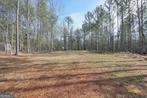 110 Panther Ln, Jackson, GA 30233 photo 39