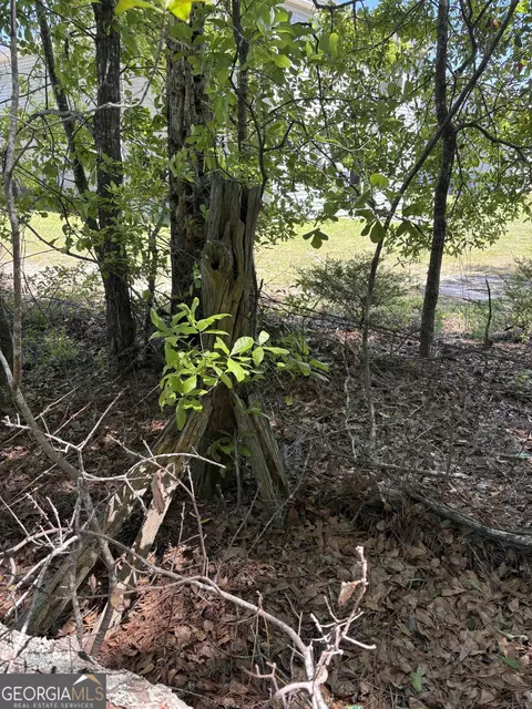 0 Rincon Stillwell Rd, Springfield, GA 31329 photo 6